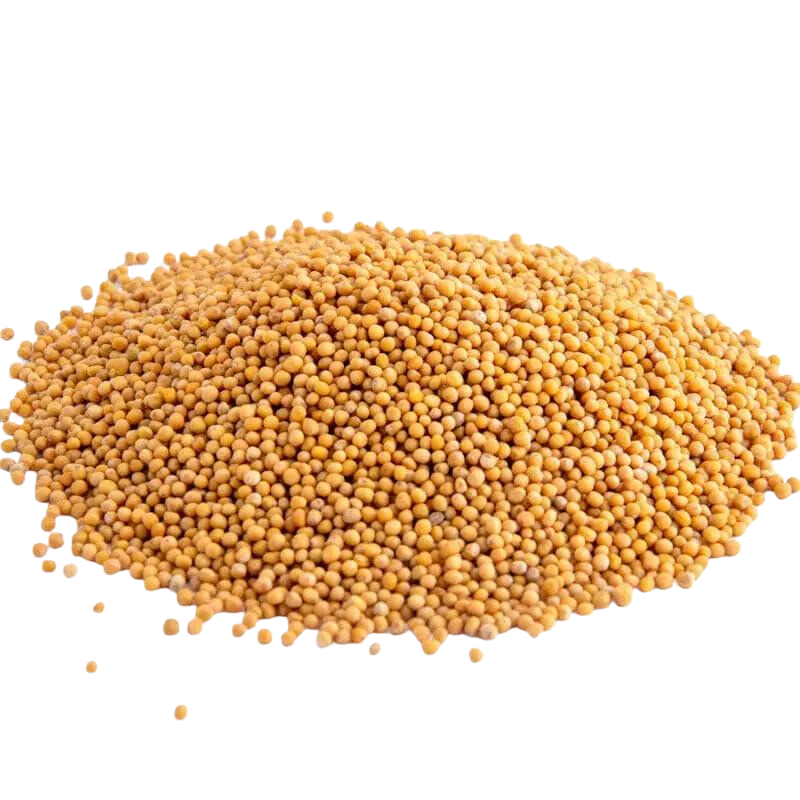 Mosterdzaad Geel - 1 kg